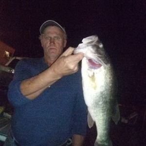 Meet your Posher, Leon